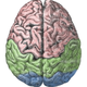 Illustration for article titled Why Are So Few People Left-Handed?